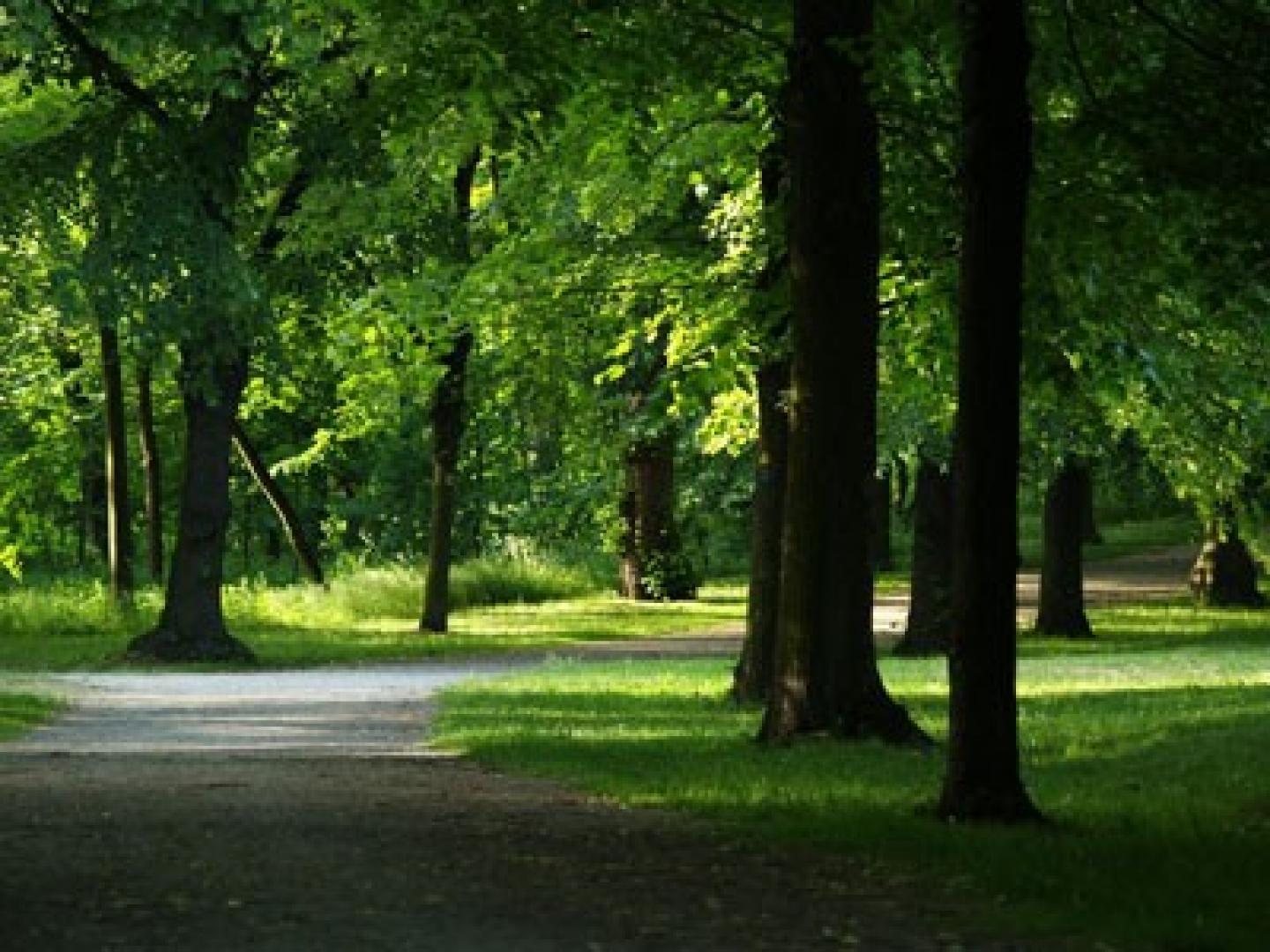 borský park.jpg